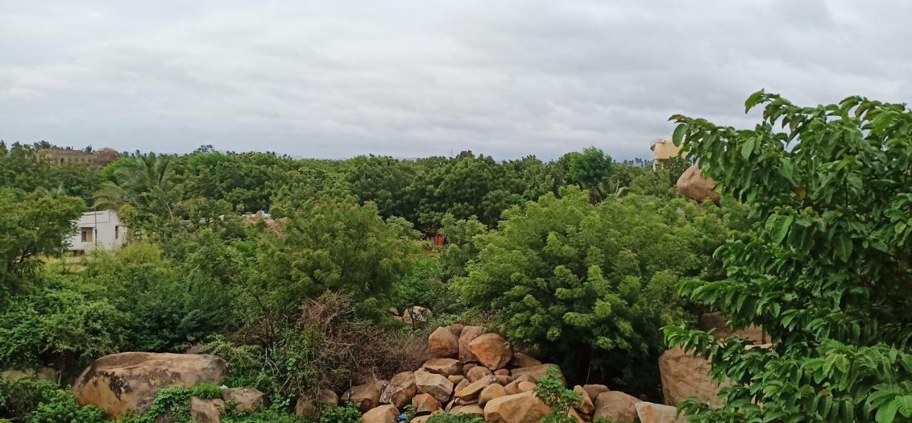 Gopi Homestay Hampi Eksteriør billede
